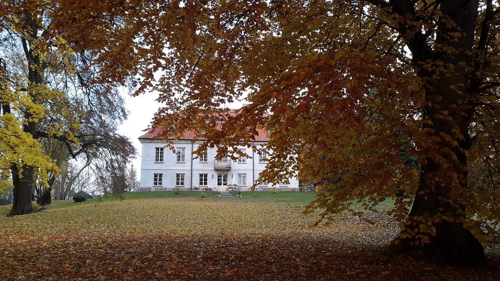 Bed and Breakfast Dwor Dawidy Mlynary Экстерьер фото